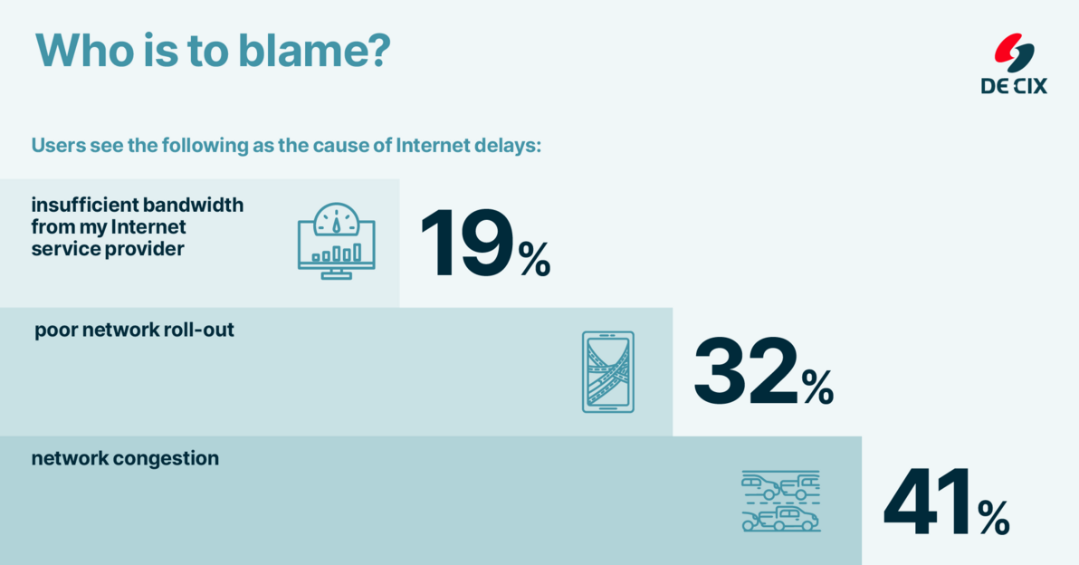 Internet survey graphic 4