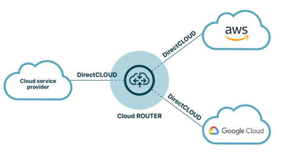 DirectCLOUD with cloud router graph